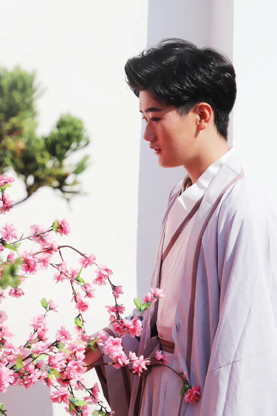 圖片